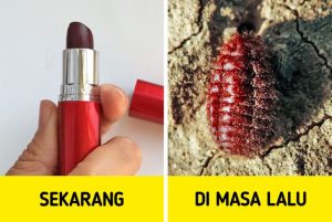 lipstik yang mengandung karmin 20