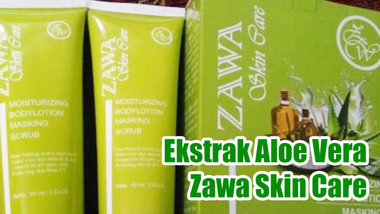Ekstrak Aloe Vera: Bahan Alami dalam Produk Zawa Skin Care
