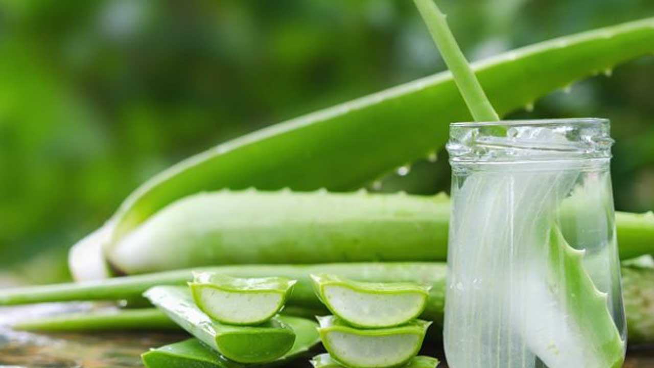 Pengobatan Alami Melasma dan Hiperpigmentasi: Cara Ampuh Mengatasi Noda Gelap di Wajah