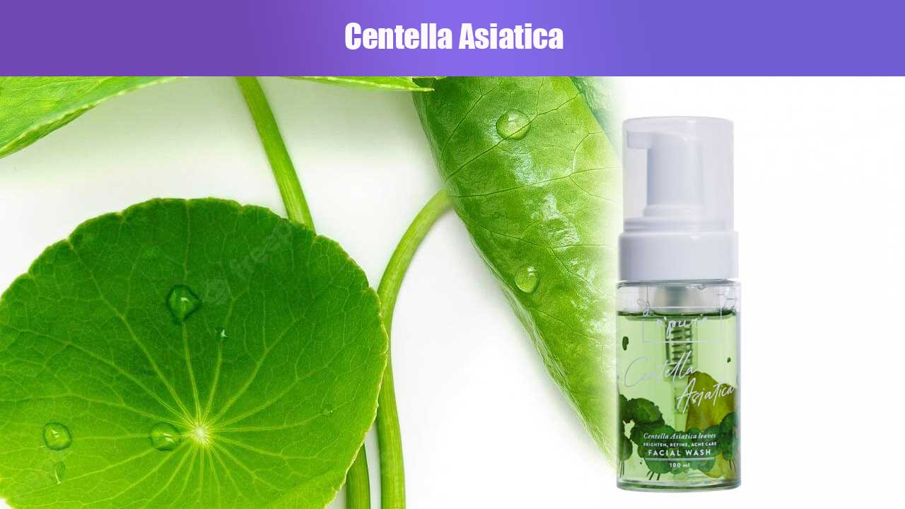 Manfaat Centella Asiatica dalam Skincare: Rahasia Kulit Sehat dan Cerah