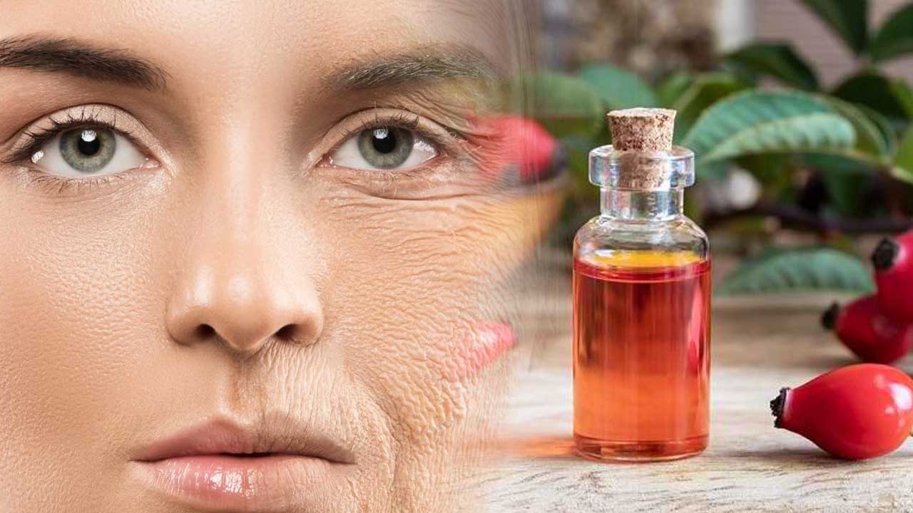 Manfaat Rosehip Oil untuk Mengurangi Tanda-Tanda Penuaan Dini