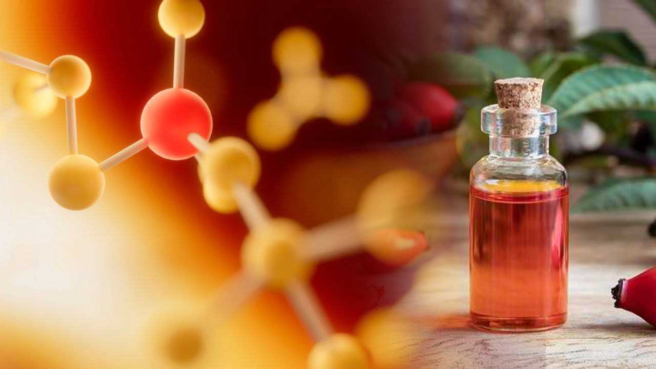 Manfaat Rosehip Oil untuk Melindungi Kulit dari Radikal Bebas