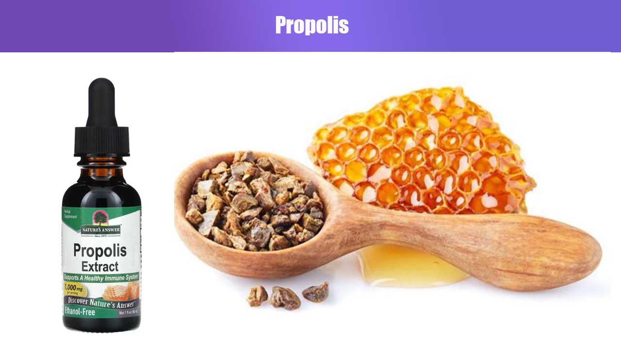 Propolis: Manfaat, Kandungan, dan Cara Menggunakannya untuk Kesehatan