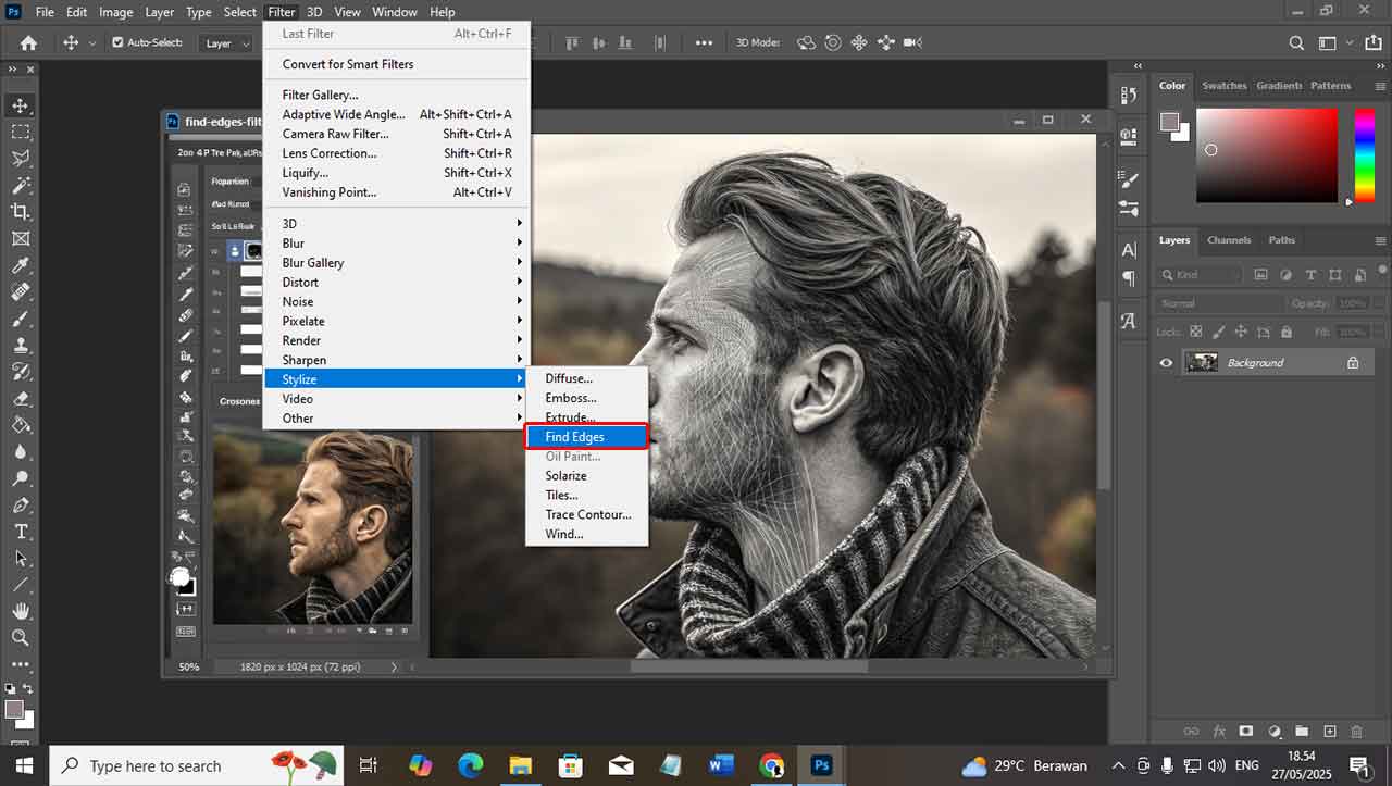 Cara Menggunakan Filter Find Edges di Photoshop untuk Efek Garis Artistik