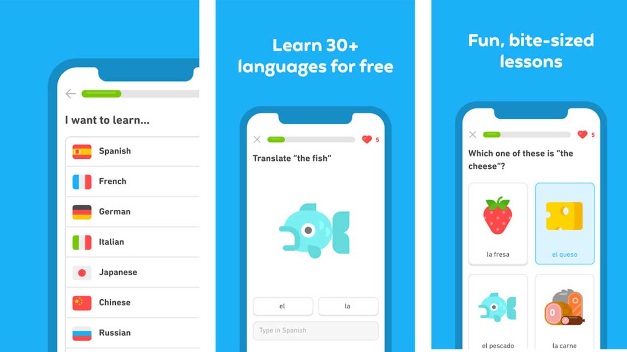 Mengapa Aplikasi Pendidikan Duolingo Menjadi Pilihan Utama dalam Belajar Bahasa Asing
