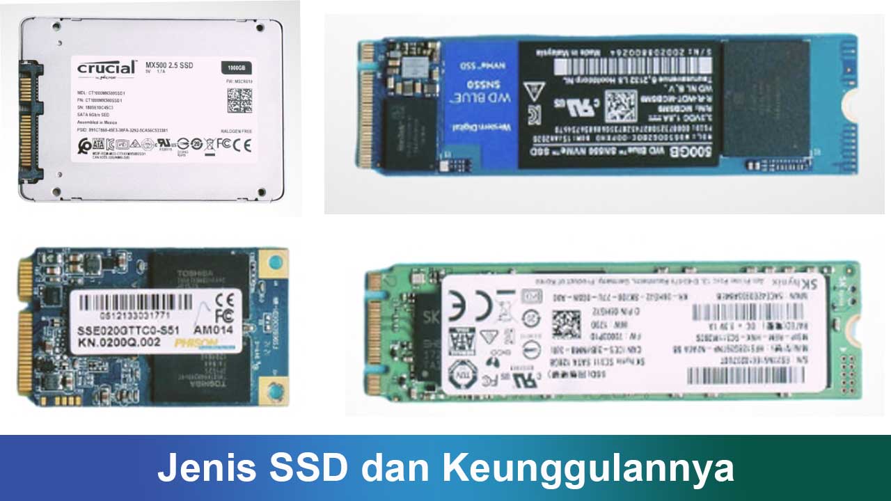 Jenis SSD dan Keunggulannya