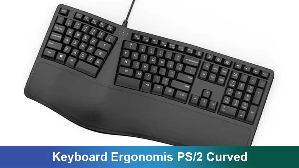 Keyboard Ergonomis PS/2 Curved: Solusi Nyaman untuk Produktivitas Seharian